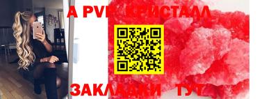 СК Шелехов