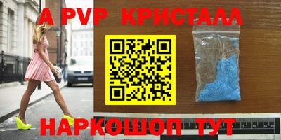 СК Шелехов