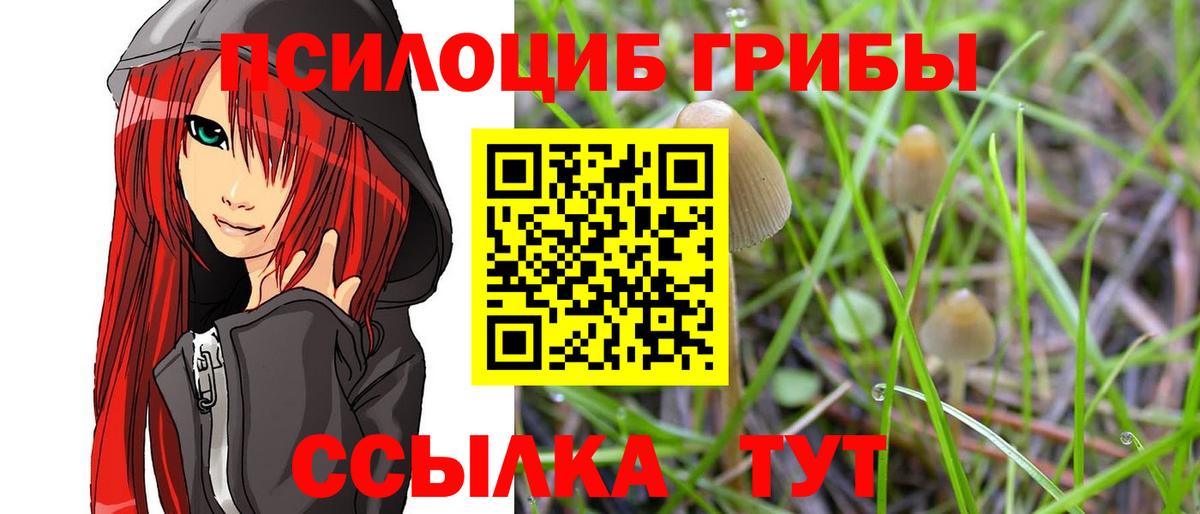 Батайск  Псилоцибиновые грибы прущие грибы  Вход с VPN 