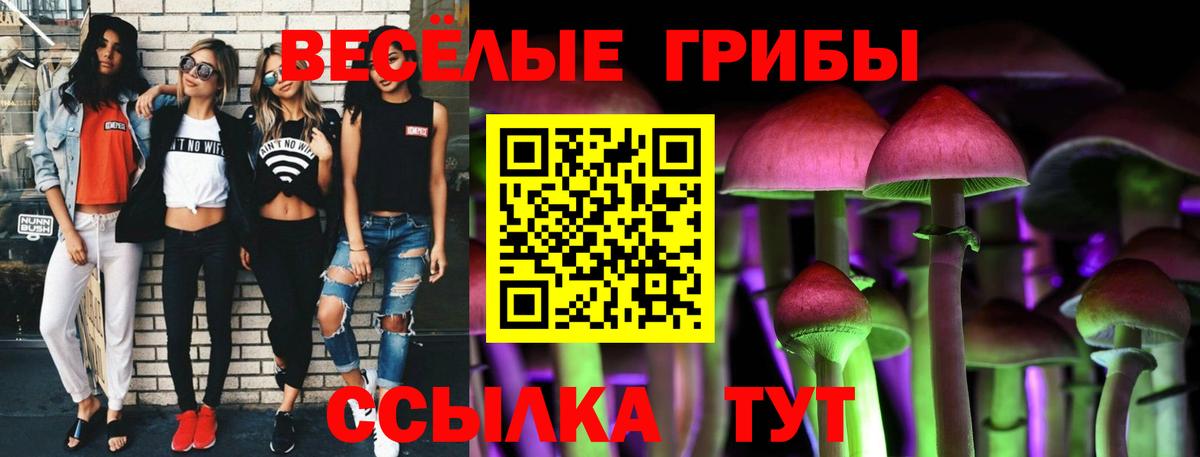 Псилоцибиновые грибы мухоморы Батайск